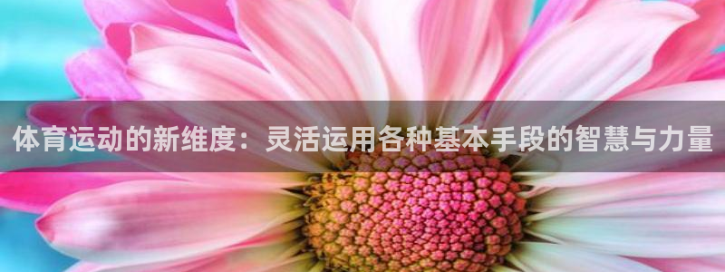 u球体育：体育运动的新维度：灵活运用各种基本手段的智慧与力量