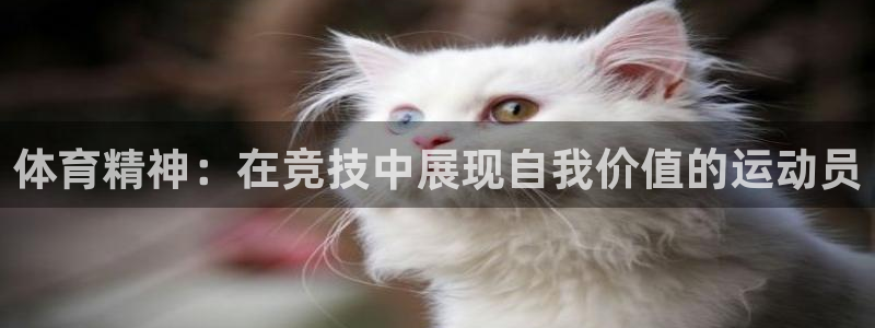 u球体育app官方下载
