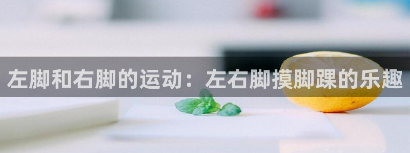 u球体育官网