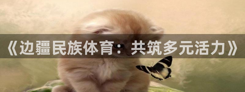 u球体育官网：《边疆民族体育：共筑多元活力》