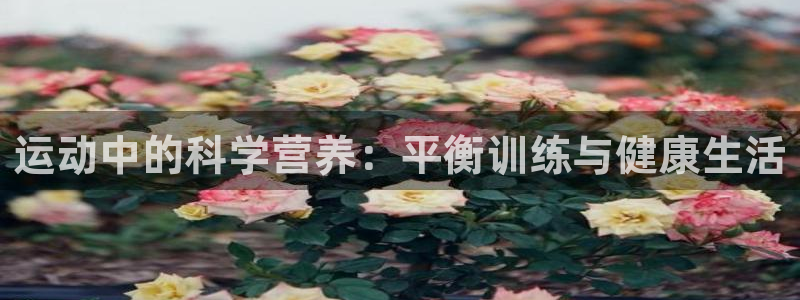 u球体育直播在线观看：运动中的科学营养：平衡训练与健康生活