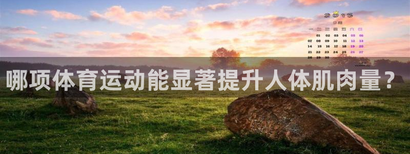 U球体育官网：哪项体育运动能显著提升人体肌肉量？