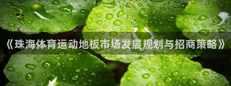 u球体育ios下载：《珠海体育运动地板市场发展规划与招商策略》