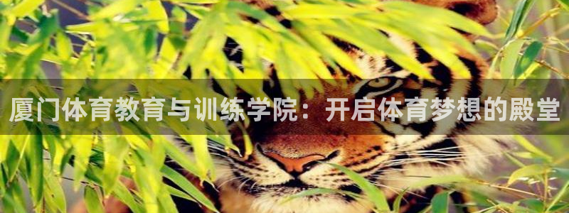u球体育官网：厦门体育教育与训练学院：开启体育梦想的殿堂