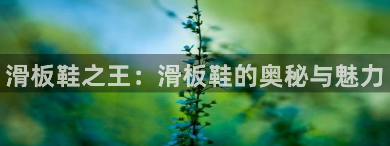 u球体育下载：滑板鞋之王：滑板鞋的奥秘与魅力