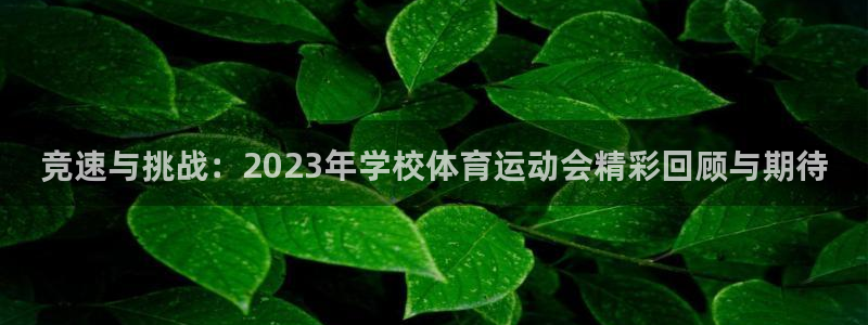 u球体育官网下载：竞速与挑战：2023年学校体育运动会精彩回顾与期待
